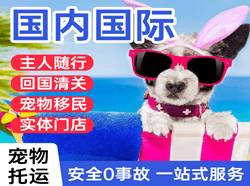 威海航空邮寄国际宠物托运 【国